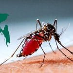 বাড়ছে ডেঙ্গুর প্রকোপ