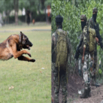 Terrorist Attack in Jammu and Kashmir