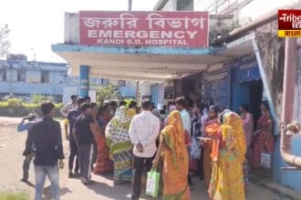 হাসপাতাল