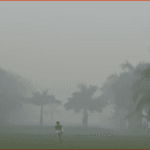 Delhi Air Quality