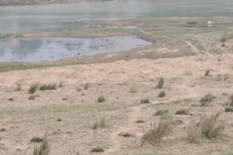 Illegal Sand Mining at Night