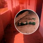 Drunkards in Girls School