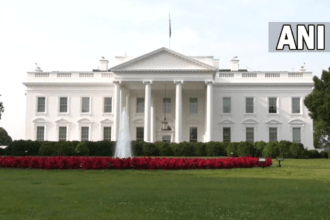 US combat Islamophobia