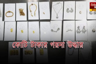 Police seized diamond