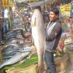 Hooghly Fish Fair