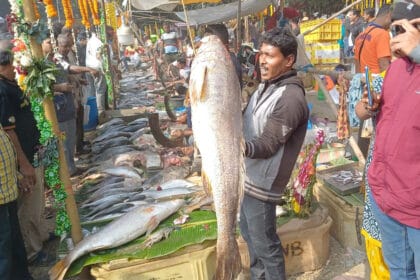 Hooghly Fish Fair