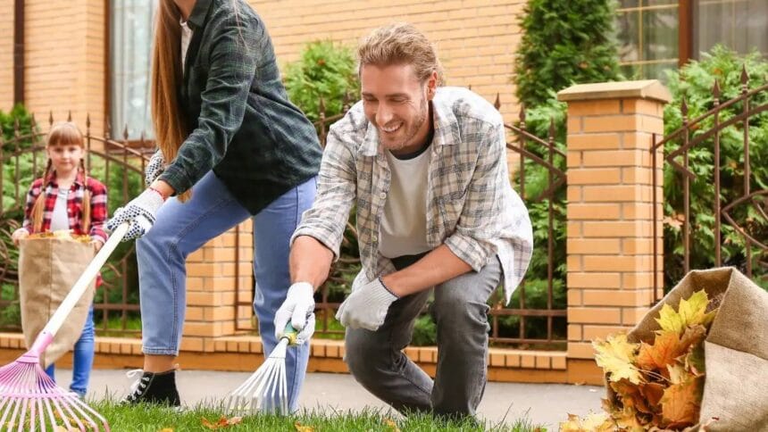 Home Cleaning Tips