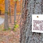 Tree QR Code