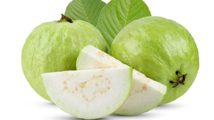 Guava Benefits
