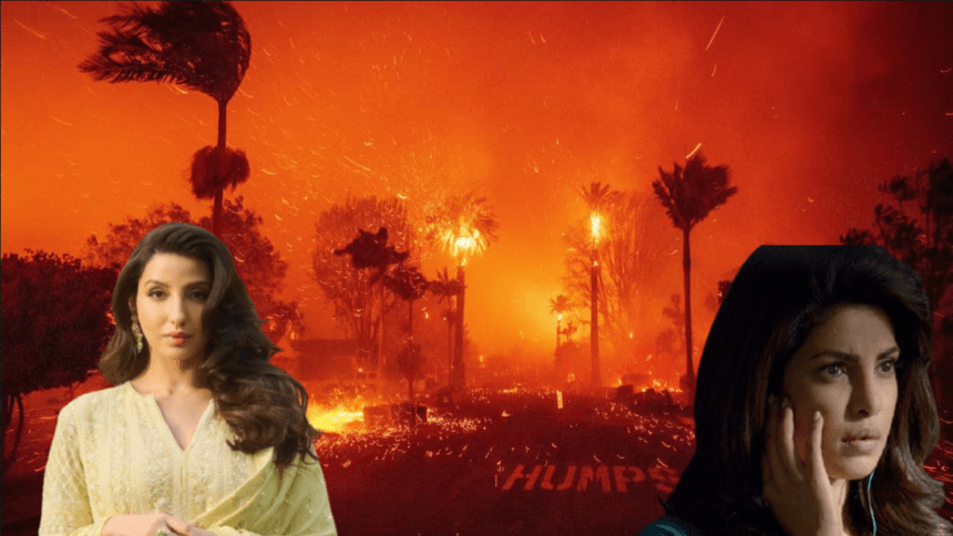 Los Angeles Wildfire