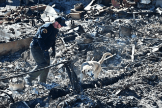 Los Angeles Wild Fire