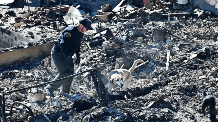 Los Angeles Wild Fire