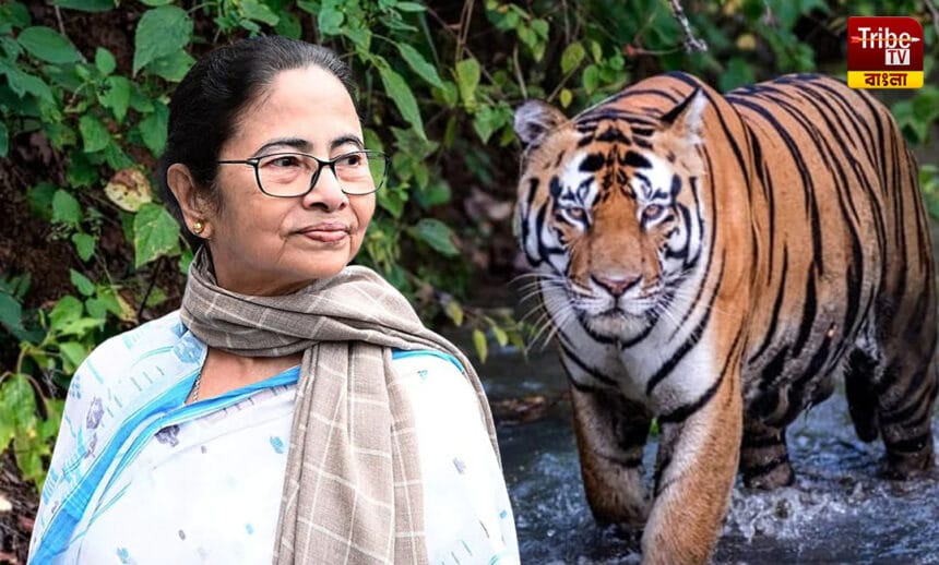 Tiger Fear