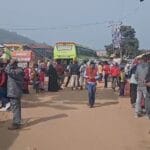 Festive Mood at New Year