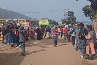 Festive Mood at New Year