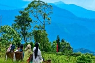 Mountain Destination