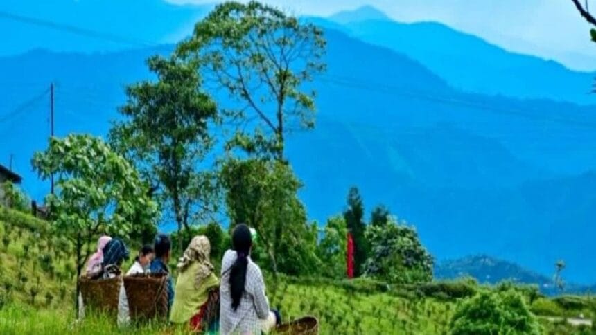 Mountain Destination