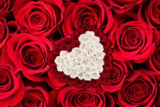 Rose Price On Valentine's Day