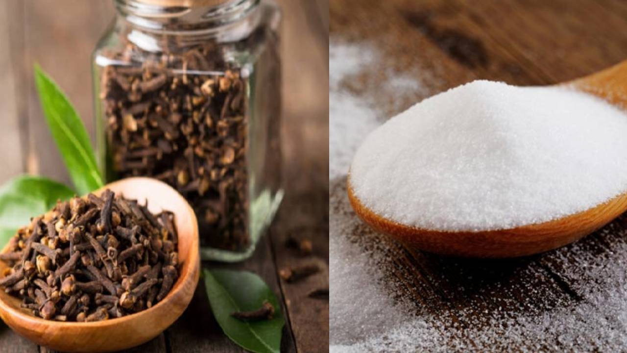 Salt And Cloves Vastu Tips: সংসারে উপচে পড়বে সুখ শান্তি, জানুন লবণ ও ...