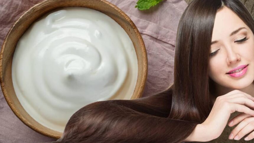 Curd Benefits For Hair