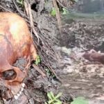 Skull Found In Sodepur