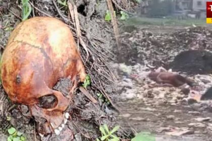 Skull Found In Sodepur