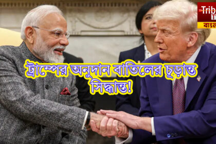 Donald Trump on USAID