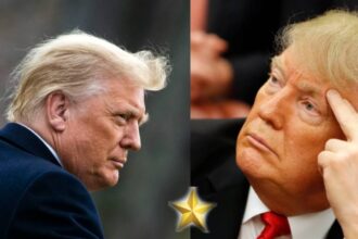 Redundancy In America