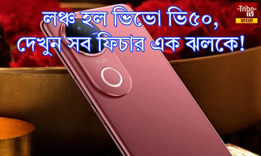 Vivo V50