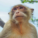 Nationwide Power Cut