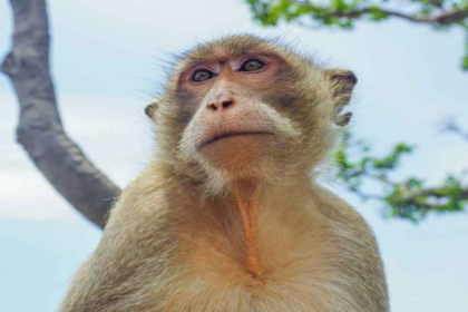 Nationwide Power Cut