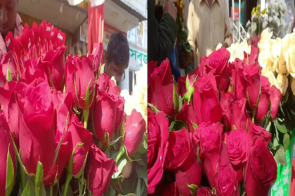 Valentine's Day 2025