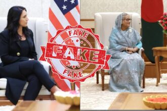 Fact Check