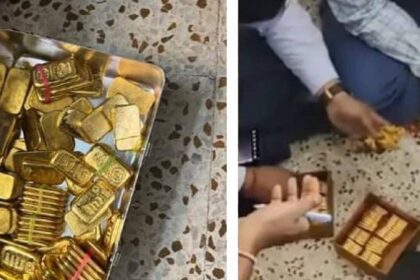 Gold Biscuits Seized