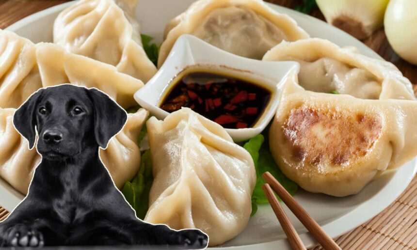 Dog Meat in Momo