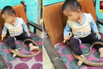 Toddler Plays With Snake