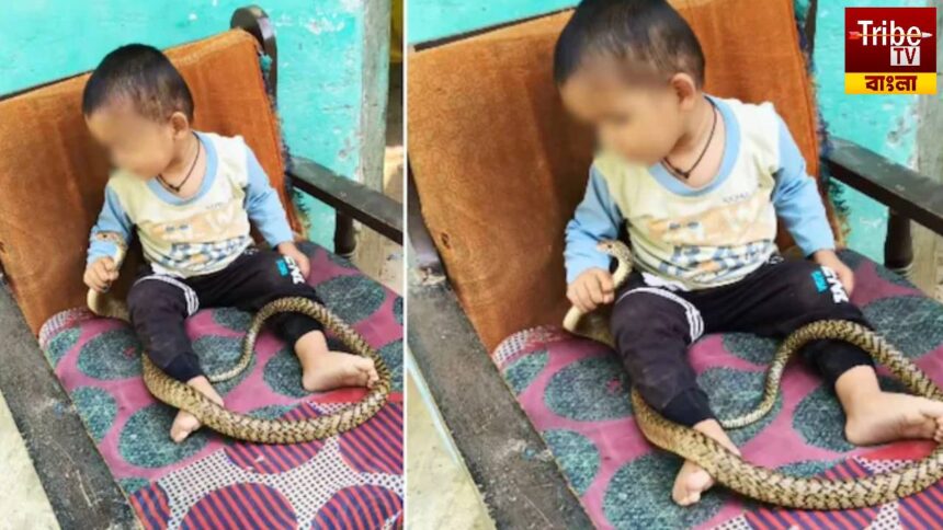 Toddler Plays With Snake