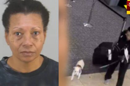 Drowning Dog In Airport