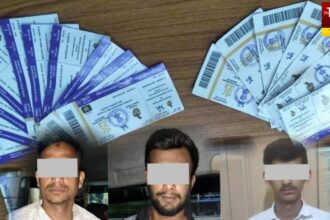 IPL Ticket Black