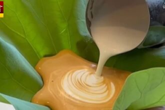 Coffee On Lotus Leaf