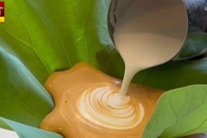 Coffee On Lotus Leaf