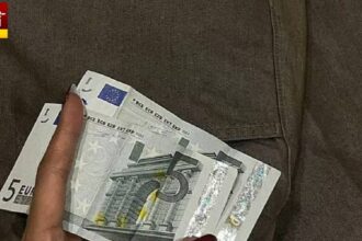 Euros Inside Pant