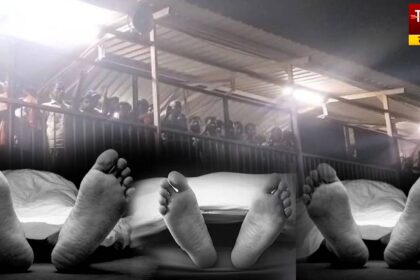 Triple Shooting Bihar