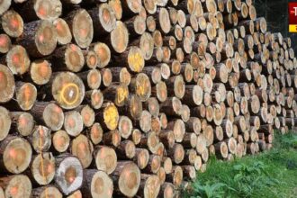 Supreme Court On Cutting Trees