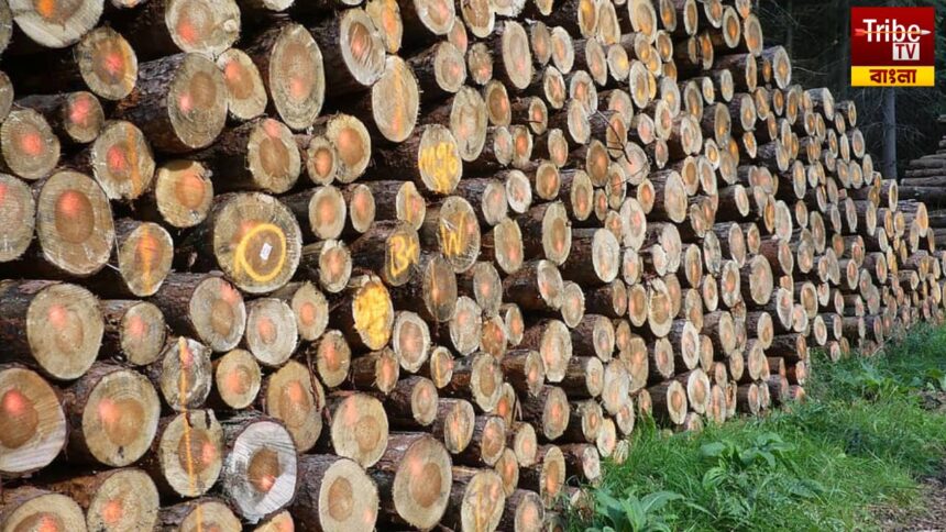 Supreme Court On Cutting Trees