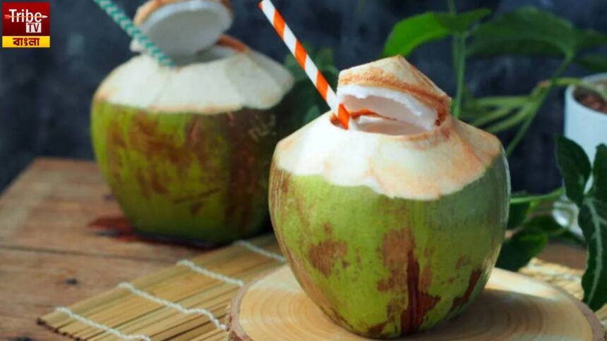 Summer Food