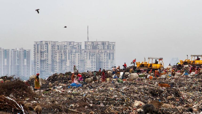 Waste Management