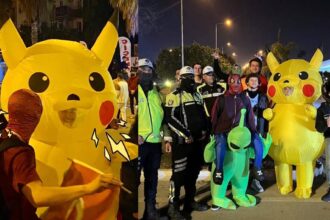 Pikachu in Turkey Protests