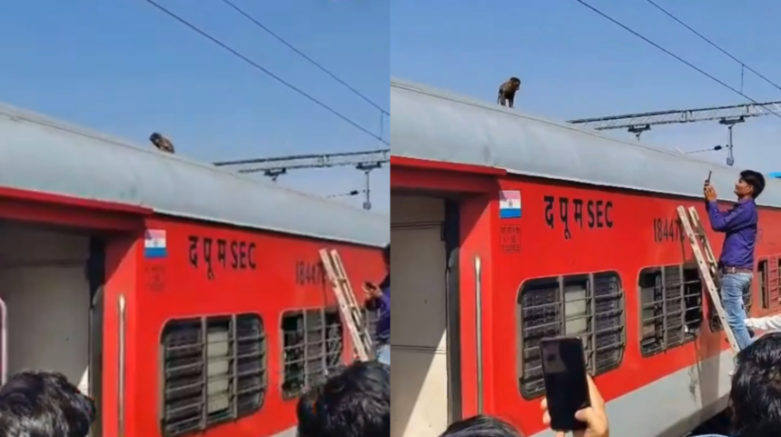 Viral Video