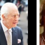 Prince William Viral Video